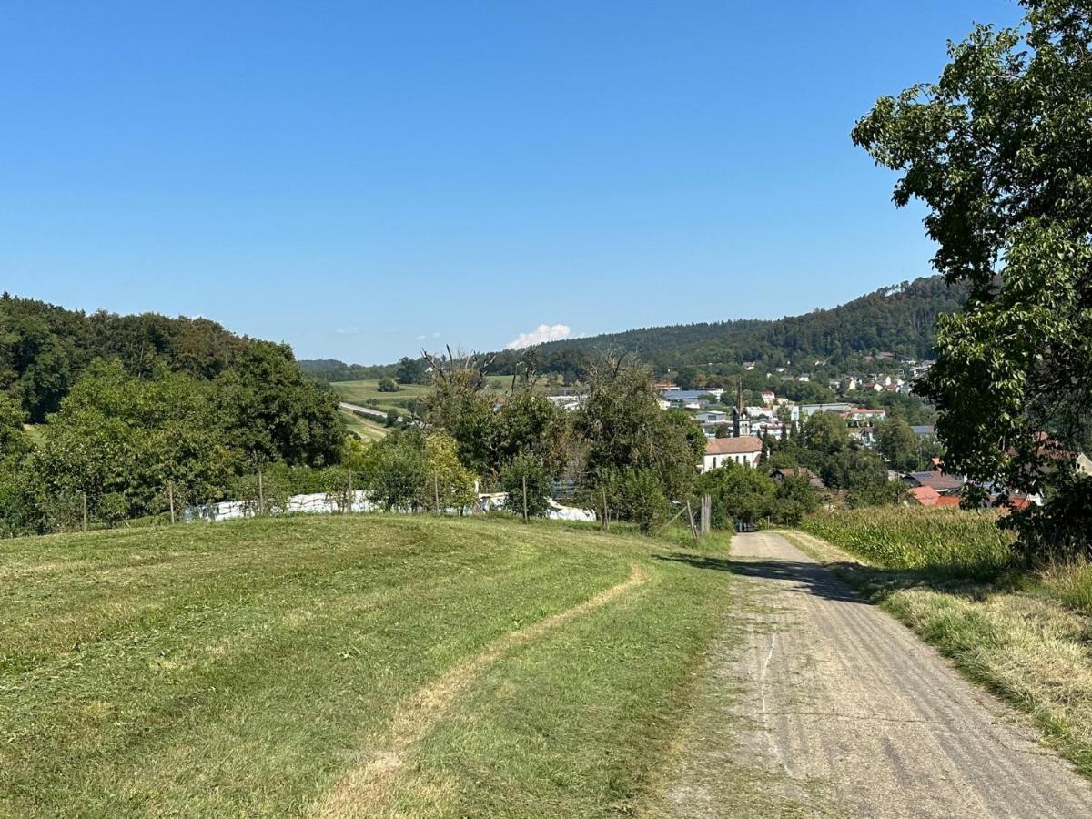 Appartment Naturblick 史塔卡赫 外观 照片